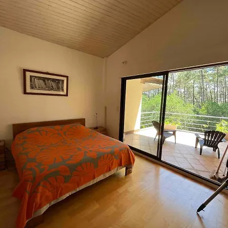 Ferienhaus Magnifique D'architecte Ocean Lacanau